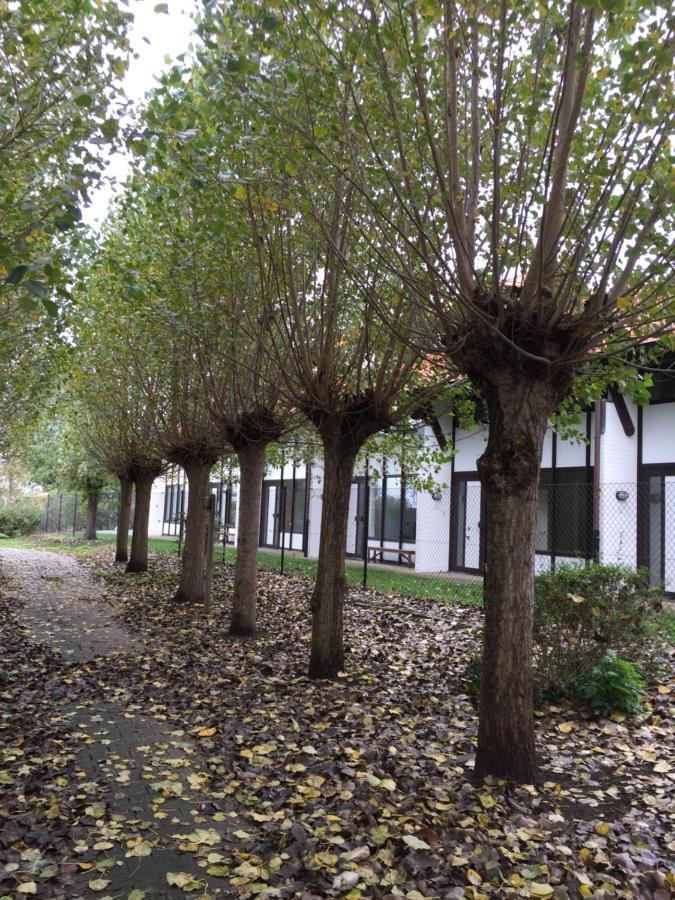 Vakantiewoning Kaviaar Middelkerke Εξωτερικό φωτογραφία